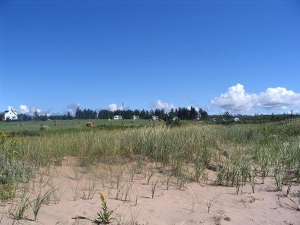 Sea'Scape Cottages Bayfield Exterior foto